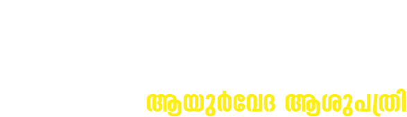 noorani-mal-logo